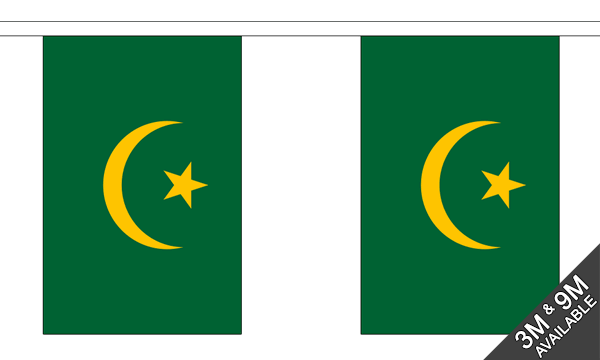 Mauritania Old Bunting